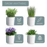 Kitchen Window Herb Garden Planter (3-Pack with Tray)