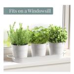 Kitchen Window Herb Garden Planter (3-Pack with Tray)