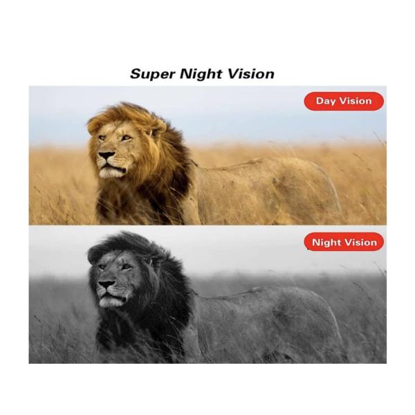 Digital Wildlife Trail Camera Q‑DL101 – 36MP 1080p Infrared Security Camera with GSM MMS Alerts