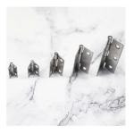 Shind 120 mm Zinc-Coated Sliding Bolt with Keyholder