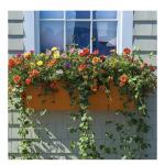 Garden Pot Window Box Jumbo 56 × 22 cm – Terracotta